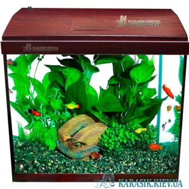 Аквариум с Крышкой A-60 LED прямой 53*28*43 (Красное Дерево) | Аквариум Прямоугольный 60 литров