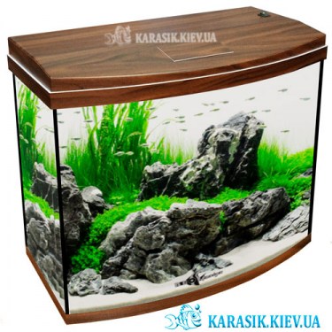 Аквариум с выпуклым стеклом с LED крышкой 