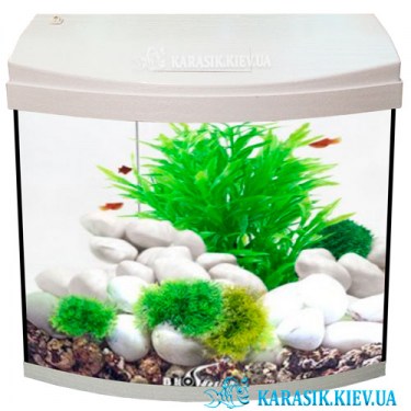 Аквариум с Крышкой Белый - Купить аквариум