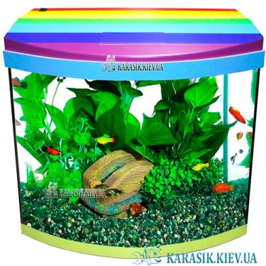 Аквариум с Крышкой О-15 LED овал 35*17*32 (Радуга) | Цветной Аквариум
