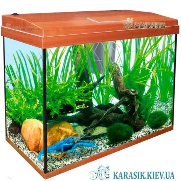 Аквариум с Крышкой A-25 LED прямой 40*20*34 (Яблоко)