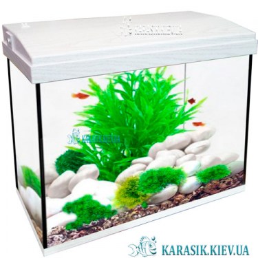 Аквариум с Крышкой Белый Дуб - Карасик