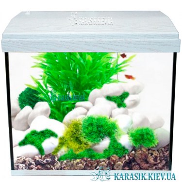 Аквариум с Крышкой Белый Дуб - Карасик