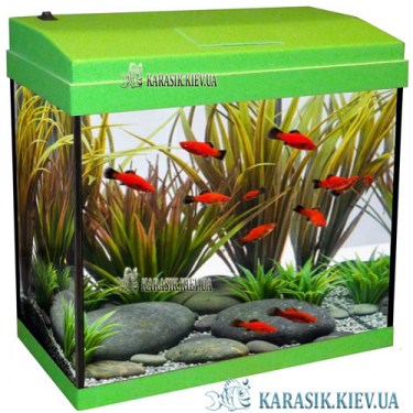 Аквариум с Крышкой A-20 LED прямой 37*19*33 (Салатовый) | Karasik.Kiev.ua