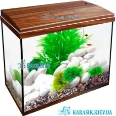 Аквариум с Крышкой A-20 LED прямой 37*19*33 (Орех)