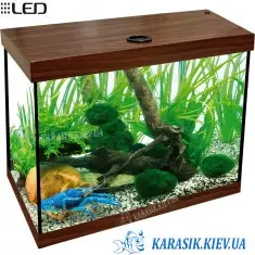 Аквариум A-25 с Крышкой LED прямой 40*25*29 (Орех)
