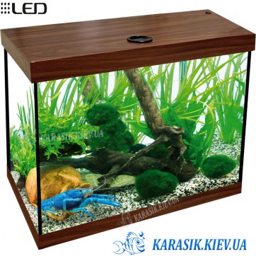 Аквариум A-25 с Крышкой LED прямой 40*25*29 (Орех)
