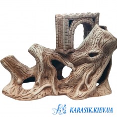  Корень с Аркой 