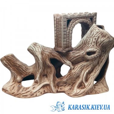  Корень с Аркой 