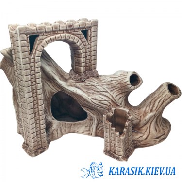  Корень с Аркой 