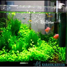 Filter-SunSun-HJ-311B-Karasik_Kiev-4