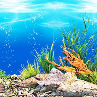 Аквариумный Односторонний Фон № 1649