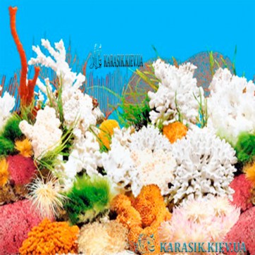 Fon_Karasik_1074_2