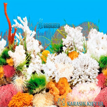 Аквариумный фон - Море - Вода | Karasik.Kiev.ua