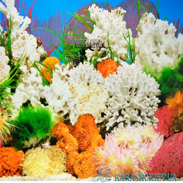 Аквариумный фон - Зелень | Karasik Kiev