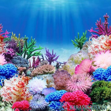 Аквариумный односторонний фон Морское дно высота 40 см.