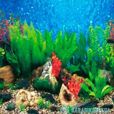 Аквариумный фон - Зелень | Karasik Kiev