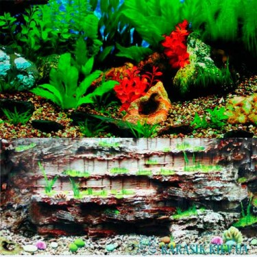 Аквариумный фон для аквариума | Карасик Киев