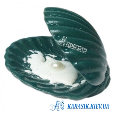 Морская раковина с жемчугом Зеленая