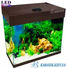 Аквариум LED RWB A-15 л. Венге Прямой 30*20*30