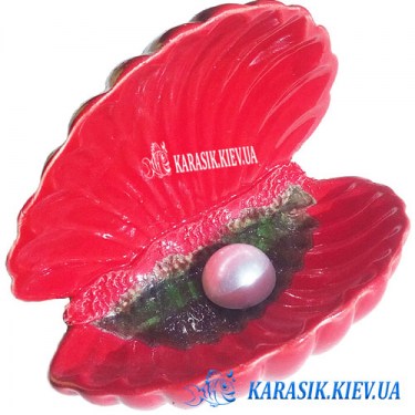 Морская Раковина с Жемчугом Красная
