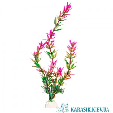 Аквариумные растения 1257 - 25 см. | karasik.kiev.ua