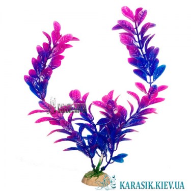 Аквариумные Растения - Аквариумный Декор