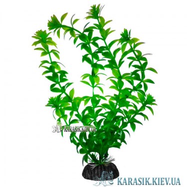Растения для Аквариума | Искусственное Растение в Аквариум