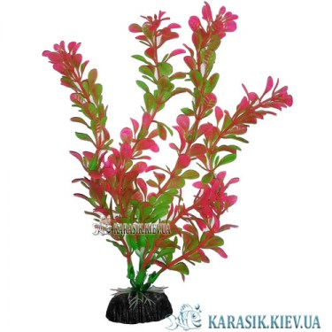 Растения для Аквариума | Искусственное Растение в Аквариум