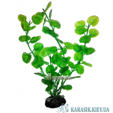 Растения для Аквариума | Искусственное Растение в Аквариум
