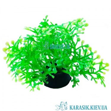 Искусственные Аквариумные Растения -1191 | karasik.kiev.ua