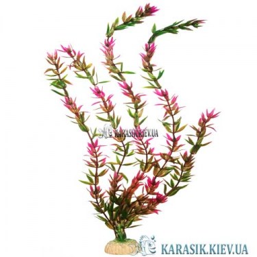 Растения для Аквариума | Искусственное Растение