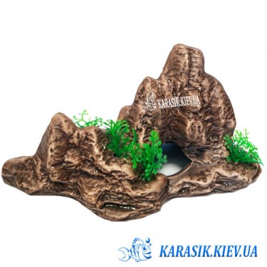 Аквариумная Скала 