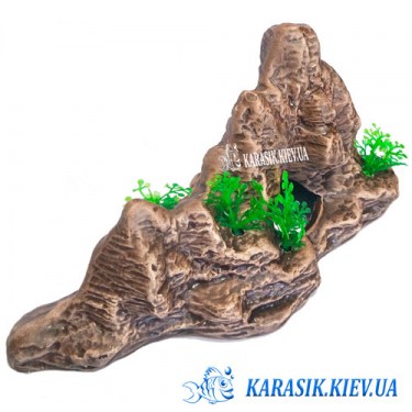 Аквариумная Скала 