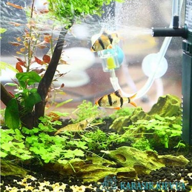 SunSun-JP-013F-Karasik-Kiev2