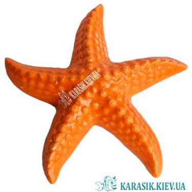  Морская Звезда Оранжевая - Декор для аквариума