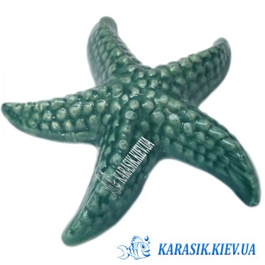 Морская Звезда Зеленая