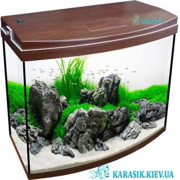 Аквариум с Крышкой О-25 LED овал 40*20*34 (Венге) | Красивый аквариум