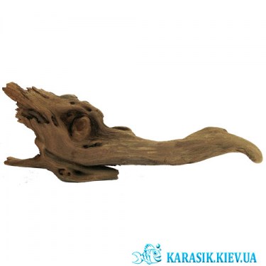 Красивая Натуральная Коряга для Аквариума