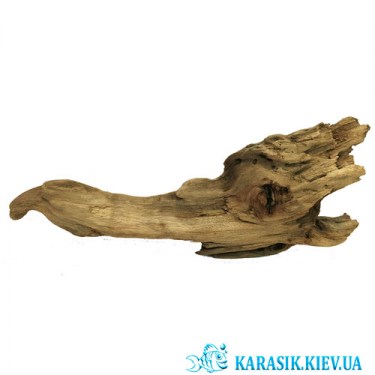 Красивая Натуральная Коряга для Аквариума