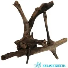Коряга Натуральная в Аквариум  -  1201