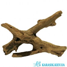 Натуральная Коряга для Аквариума | Аквариумная Коряга