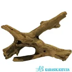 Коряга Натуральная в Аквариум  -  945