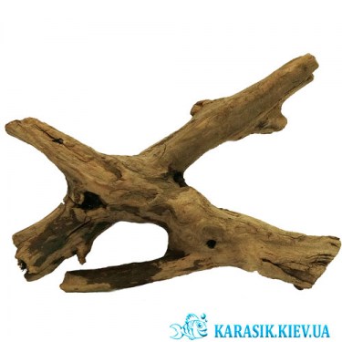 Натуральная Коряга для Аквариума | Аквариумная Коряга