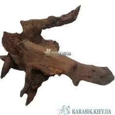 Коряга Натуральная в Аквариум  -  946