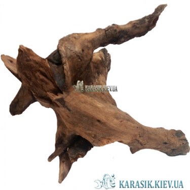 Коряги Натуральные | Карасик
