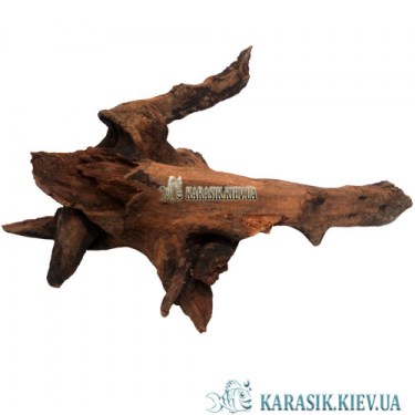 Натуральная Коряга в Аквариум