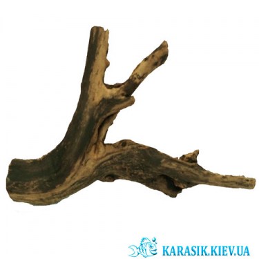 Натуральная Коряга для Аквариума | Аквариумная Коряга - karasik.kiev.ua