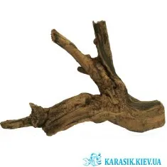 Коряга Натуральная в Аквариум  -  947