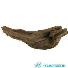 Коряга Натуральная в Аквариум  -  949